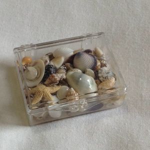 Mini box full of tiny shells